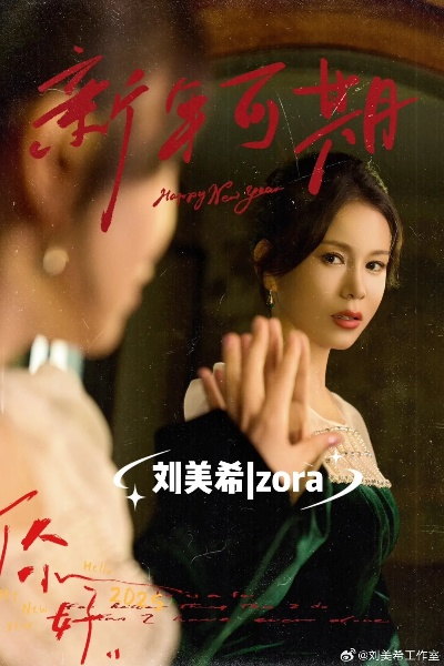 主妇作曲家的绝地反击（63集）刘美希(2)