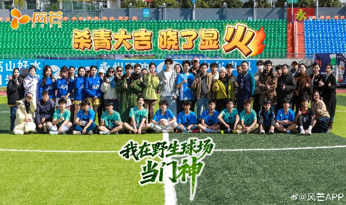 我在野生球场当门神（31集）