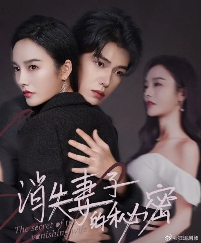 消失妻子的秘密（60）李胜楠(1)(1)(1)