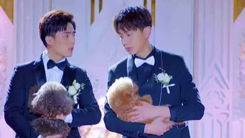 丈夫冒认双胞胎弟弟身份后（67集）刘月涛&范祺