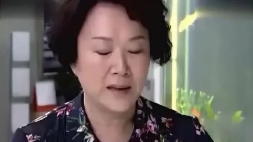 苦口婆心（50集）王艳秋