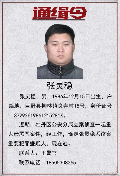 34656-让你相亲，你逮通缉犯&让你相亲你逮通缉犯（86集）赵影&孙虎城