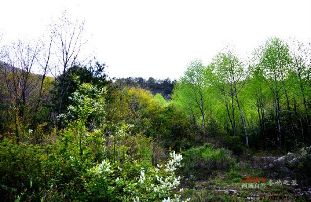 35020-青坪春影闲行&如胶似漆（39集