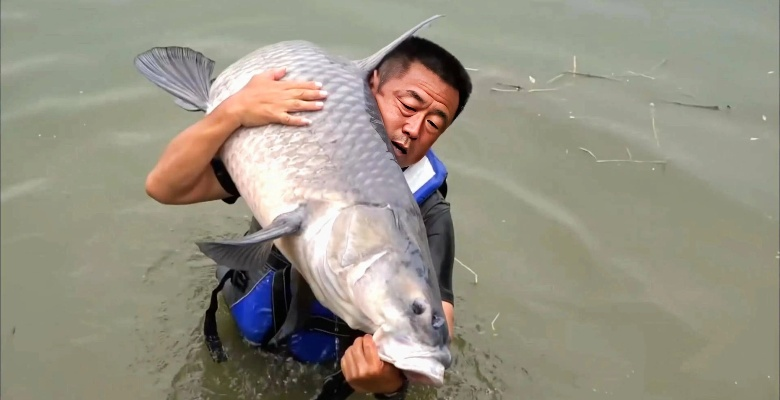 71(2).重生成鱼气哭钓鱼佬（54集）孙虎城＆郭丽虹