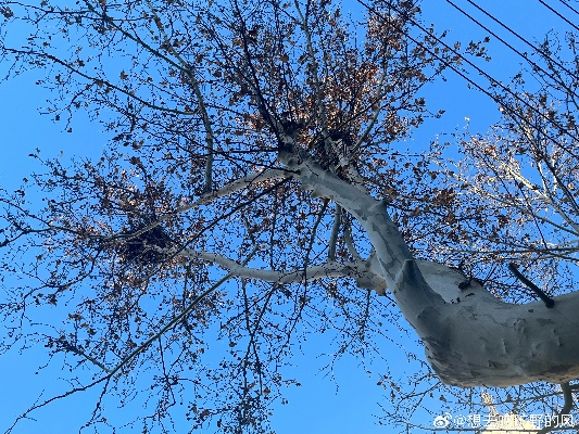 02.枯木逢春（69集）周体顺＆王艺甜＆滕林