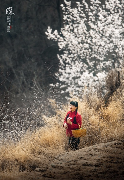 34488-春风不渡乡愁  (76集)