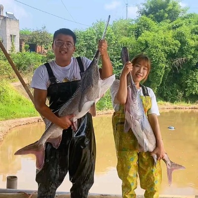 34496-说好赶海致富，你却钓了美人鱼  (62集)