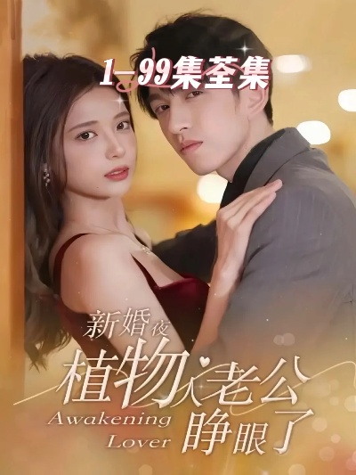 34669-离婚后闪婚植物人老公宠上天（38集）张晴