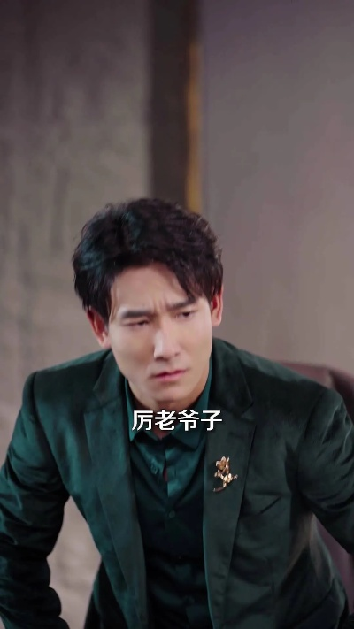 前妻携子归来傅总气红眼（70集）李雪莹&刘子豪