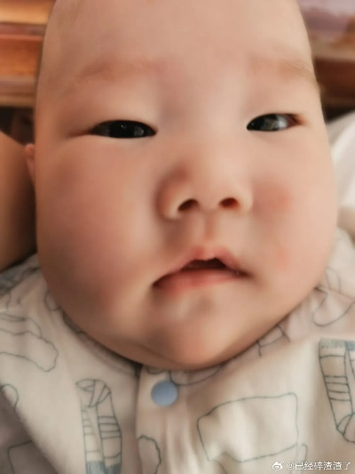 25.姑奶奶四岁半！厉害点怎么了＆萌娃四岁半，下山成团宠了（82集）焦雨田＆张洪洲