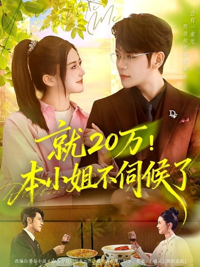 19.就20万！本小姐不伺候了（60集）杨彦光＆李家圆子