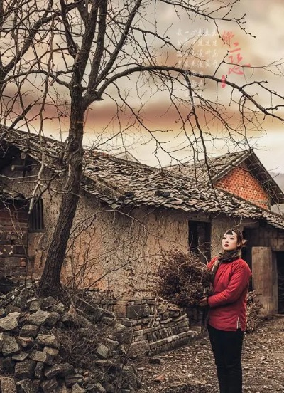 34488-春风不渡乡愁  (76集)