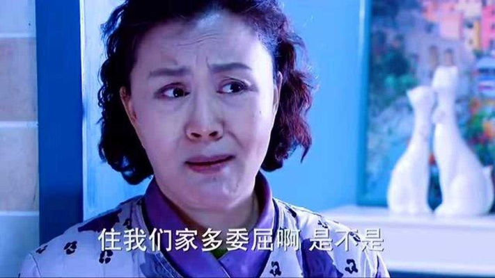 34580-惹谁都别惹婆婆（50集）闫裴杰&盘金蓉