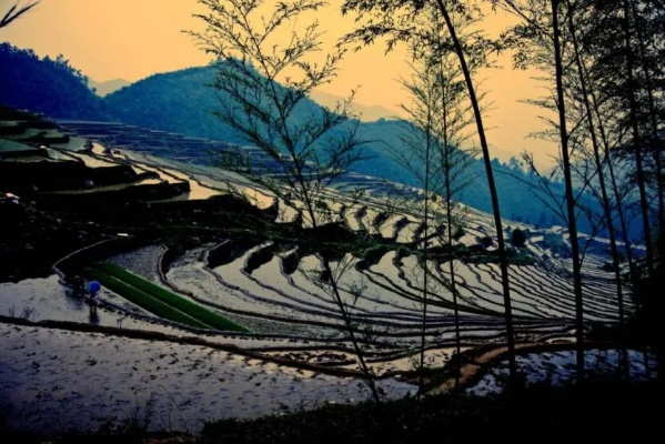 35020-青坪春影闲行&如胶似漆（39集