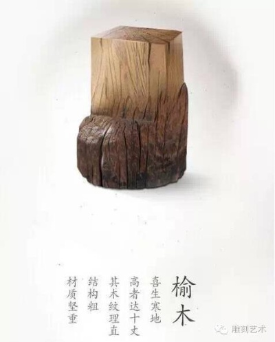 01(2).榆木妄充栋梁材（88集）朱宏钊＆梅瑞滢