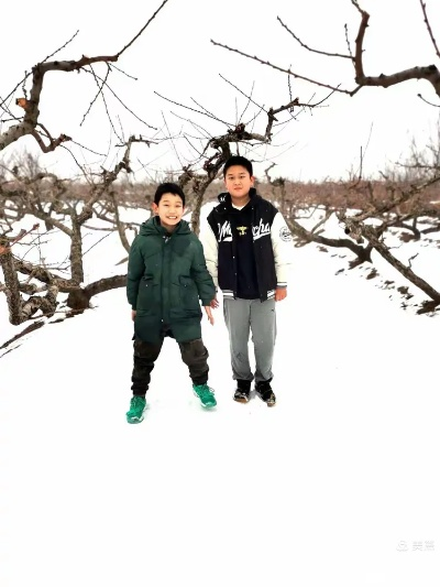 再不见梨花雪（70集）王裕博&陈酉昔