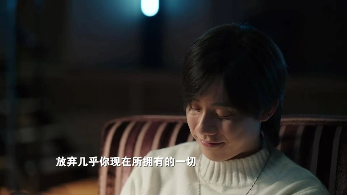 向光而生的她（36集）王子茜&刘国文