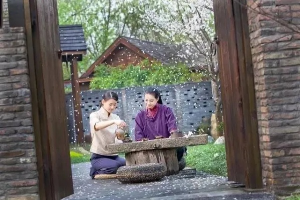 曾是芳华（60集）庄园&驰恩尘