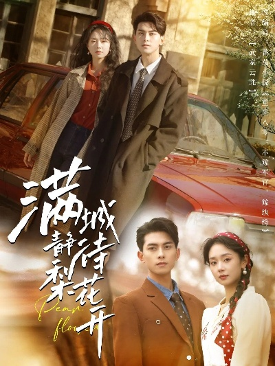 城南花正开短剧在线免费看（城南花正开，一部值得一看的在线短剧）