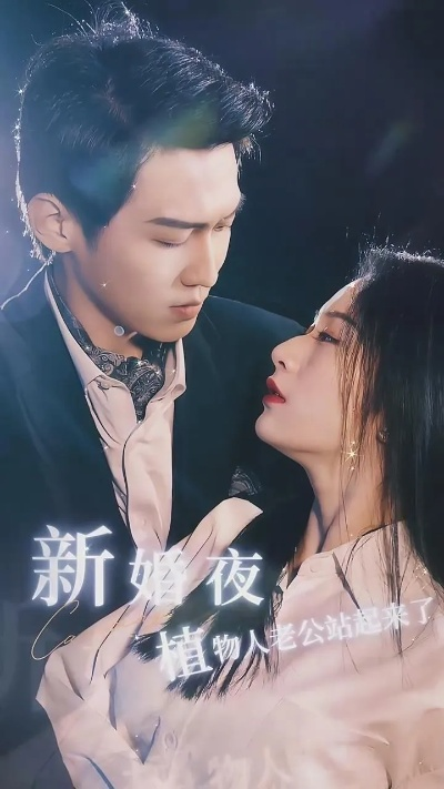 好评穿越重生短剧（重生穿越短剧，好评如潮，开启新纪元）