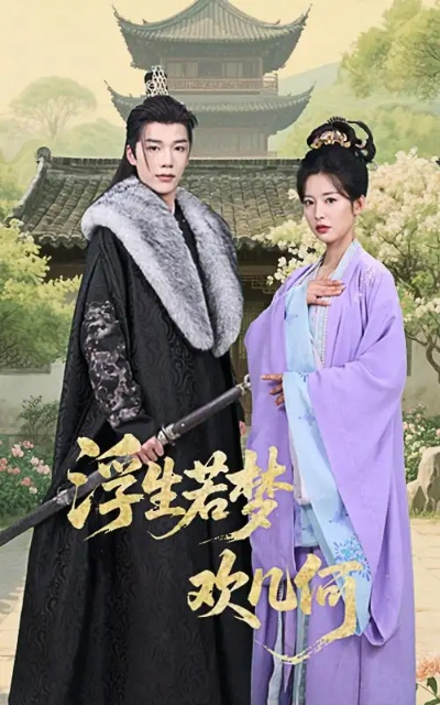 紫陌红尘短剧全集免费观看（紫陌红尘短剧全集，免费观看的绝佳体验）