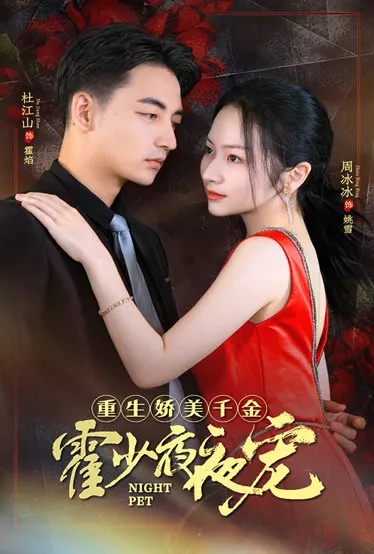 家庭煮夫短剧免费观看完整版（家庭煮夫，短剧的免费观看之旅）