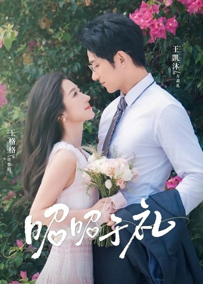 昭昭于礼短剧全集免费观看（昭昭于礼，短剧的魅力与免费观看体验）