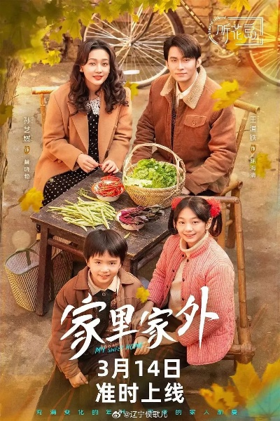 家里家外短剧（家里家外短剧，家庭生活的微观世界展现）