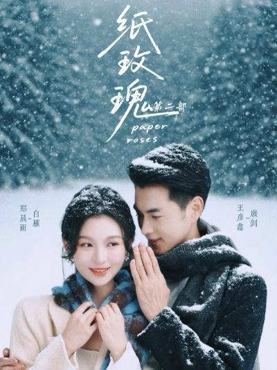 纸玫瑰短剧免费观看高清（纸玫瑰短剧，高清免费观看的浪漫之旅）