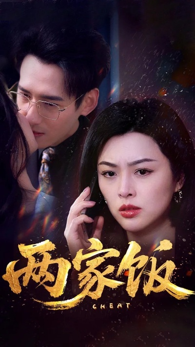 家庭煮夫短剧在线观看（家庭煮夫，短剧在线观看的新风尚）