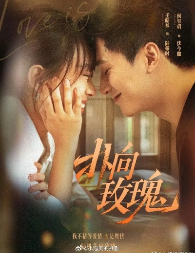 扑向玫瑰短剧免费观看（扑向玫瑰，一场浪漫短剧的免费观看之旅）