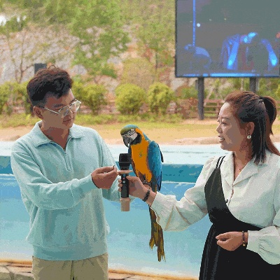 驯养短剧（驯养短剧，探索人与动物的亲密关系）