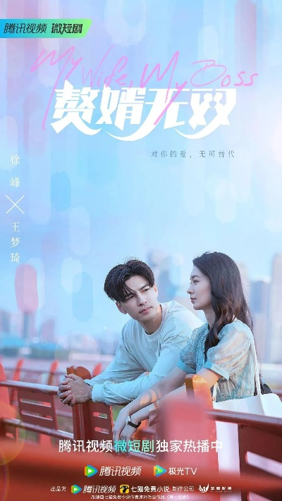 家庭煮夫短剧免费观看（家庭煮夫，短剧的魅力与免费观看方式）