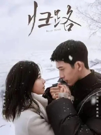 归路电视剧免费版在线观看全集（归路电视剧免费版在线观看全集，深度剧情解析与体验）