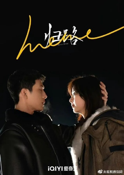 归路电视剧免费版在线观看全集（归路电视剧免费版在线观看全集，深度剧情解析与体验）