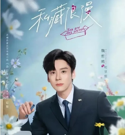 私藏浪漫电视剧免费观看全集（私藏浪漫电视剧，免费观看全集的魅力之旅）