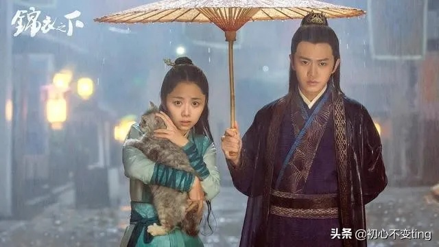 锦衣之下电视剧全集免费观看（锦衣之下，免费观看全集电视剧的精彩体验）