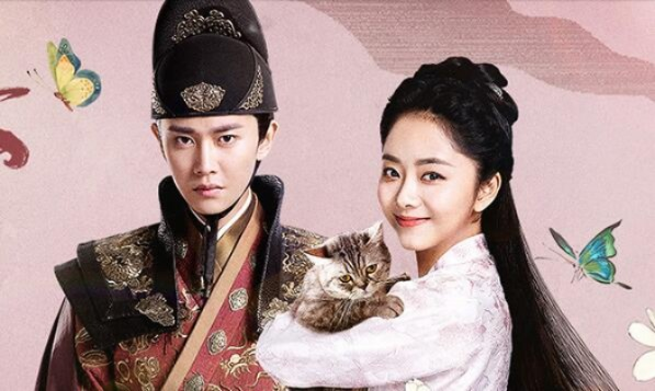 锦衣之下电视剧全集免费观看（锦衣之下，免费观看全集电视剧的精彩体验）