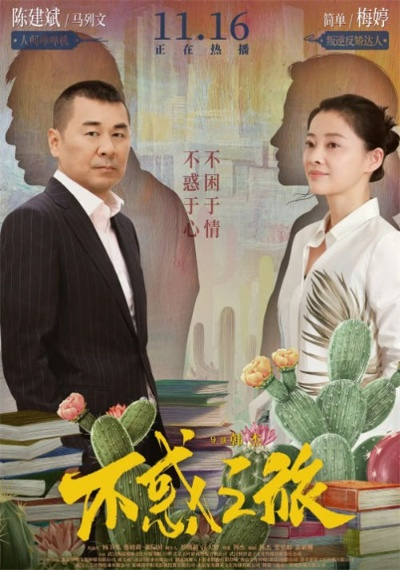 不惑之旅全集免费观看完整版（不惑之旅，踏上人生之旅，免费观看完整版）