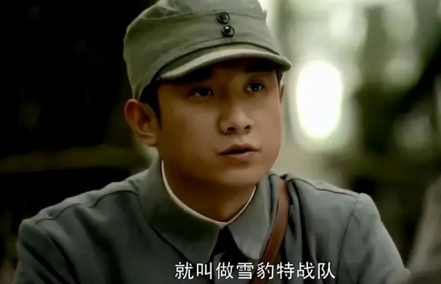 雪豹电视剧全集免费观看完整版（雪豹电视剧全集免费观看完整版—重温经典，感受英雄魅力）
