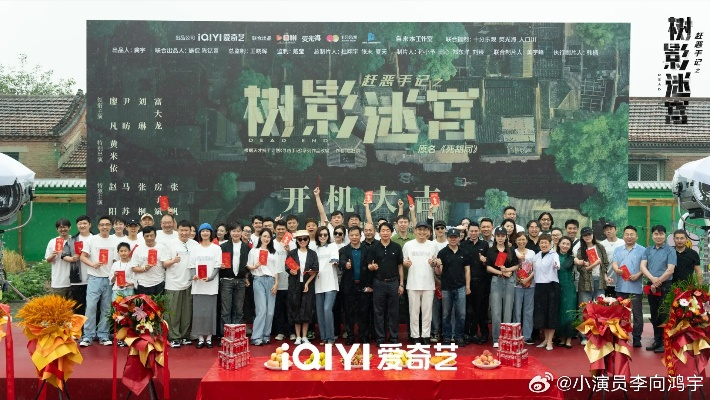 树影迷宫电视剧免费高清观看全集（树影迷宫，电视剧免费高清观看全集的魅力）