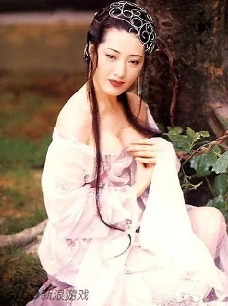 新金瓶梅电视剧免费观看全集完整版1986（新金瓶梅电视剧全集完整版1986，免费观看指南）