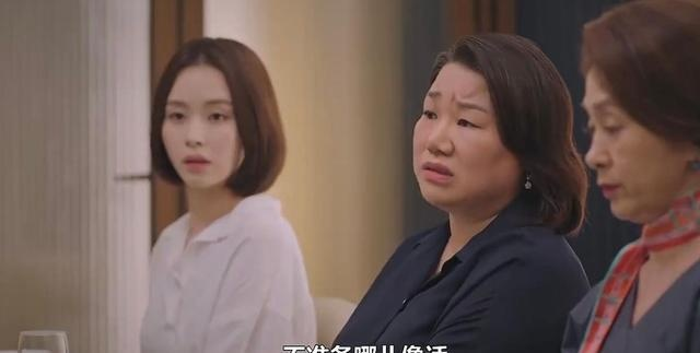 韩剧儿媳们的抉择全集（韩剧儿媳们的抉择全集，深度解析与感悟）