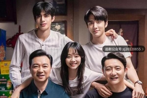 以家人之名电视剧全集免费观看（以家人之名电视剧全集免费观看，深度剧情体验之旅）