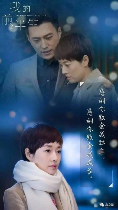 我的前半生电视剧全集免费观看（我的前半生电视剧全集免费观看，生活的启示与情感的共鸣）