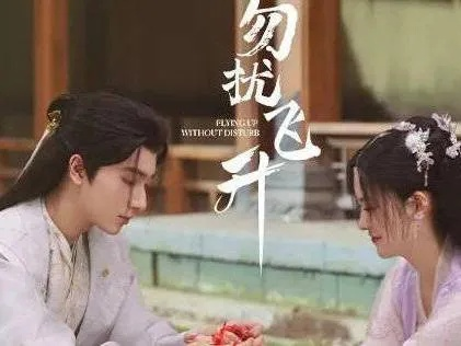 勿扰飞升电视剧全集在线观看免费（勿扰飞升电视剧全集在线观看免费—深度解析与观剧指南）