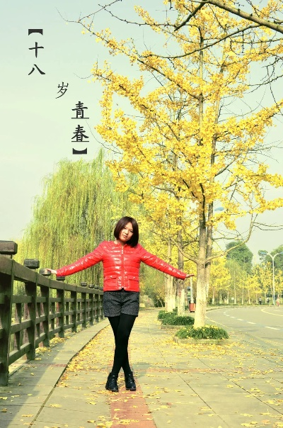 十八岁全集完整版（十八岁全集完整版，青春的记忆与成长的足迹）