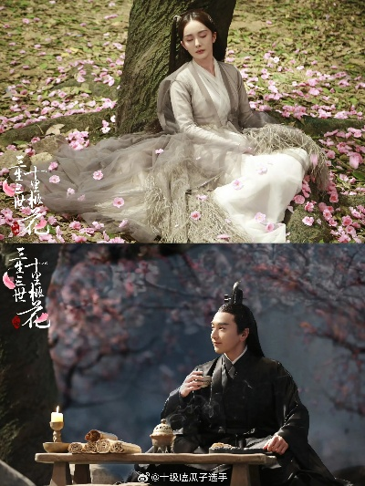 三生三世十里桃花在线全集免费观看（三生三世十里桃花，在线全集免费观看的奇幻之旅）