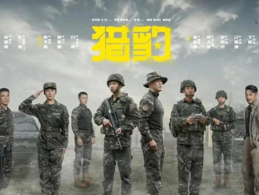 猎豹电视剧全集在线观看（猎豹电视剧全集在线观看，探索精彩剧情的世界）