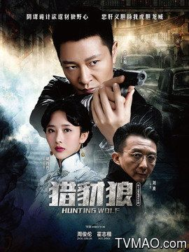 猎豹电视剧全集在线观看（猎豹电视剧全集在线观看，探索精彩剧情的世界）